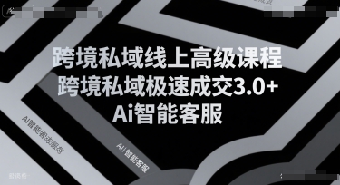 跨境私域线上高级课程，跨境私域极速成交3.0+Ai智能客服瀚萌资源网-网赚网-网赚项目网-虚拟资源网-国学资源网-易学资源网-本站有全网最新网赚项目-易学课程资源-中医课程资源的在线下载网站！瀚萌资源网