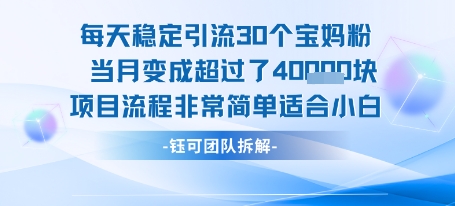 每天稳定引流30个人 当月变成超过了4个W项目流程非常简单适合小白瀚萌资源网-网赚网-网赚项目网-虚拟资源网-国学资源网-易学资源网-本站有全网最新网赚项目-易学课程资源-中医课程资源的在线下载网站！瀚萌资源网