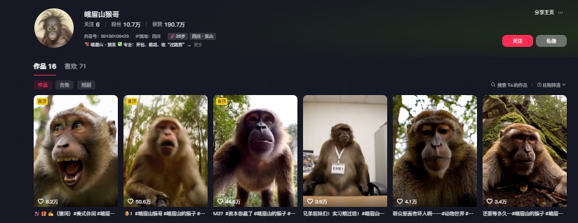 图片[2]瀚萌资源网-网赚网-网赚项目网-虚拟资源网-国学资源网-易学资源网-本站有全网最新网赚项目-易学课程资源-中医课程资源的在线下载网站！最新爆火的峨眉山猴子短视频制作教程，条条点赞10w+，谁做谁火【教程+提示词】瀚萌资源网-网赚网-网赚项目网-虚拟资源网-国学资源网-易学资源网-本站有全网最新网赚项目-易学课程资源-中医课程资源的在线下载网站！瀚萌资源网