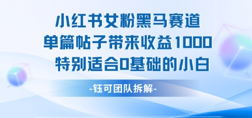 小红书女粉黑马赛道单篇帖子带来收益1k+，特别适合0基础的小白瀚萌资源网-网赚网-网赚项目网-虚拟资源网-国学资源网-易学资源网-本站有全网最新网赚项目-易学课程资源-中医课程资源的在线下载网站！瀚萌资源网