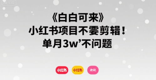 小白可来 小红书项目不需要剪辑 单月3w不是问题瀚萌资源网-网赚网-网赚项目网-虚拟资源网-国学资源网-易学资源网-本站有全网最新网赚项目-易学课程资源-中医课程资源的在线下载网站！瀚萌资源网