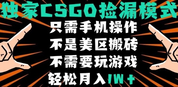 CSGO自动捡漏项目，最新独家玩法，不是美区搬砖，不需要了解和玩游戏，新手小白轻松月入1W+【揭秘】瀚萌资源网-网赚网-网赚项目网-虚拟资源网-国学资源网-易学资源网-本站有全网最新网赚项目-易学课程资源-中医课程资源的在线下载网站！瀚萌资源网