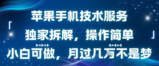苹果手机技术服务,独家拆解,操作简单,小白可做,月过1W不是梦瀚萌资源网-网赚网-网赚项目网-虚拟资源网-国学资源网-易学资源网-本站有全网最新网赚项目-易学课程资源-中医课程资源的在线下载网站!瀚萌资源网