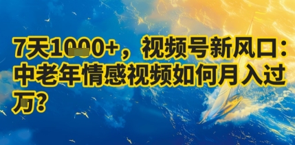 7天收益1k+，视频号新风口：中老年情感视频如何月入过W?瀚萌资源网-网赚网-网赚项目网-虚拟资源网-国学资源网-易学资源网-本站有全网最新网赚项目-易学课程资源-中医课程资源的在线下载网站！瀚萌资源网