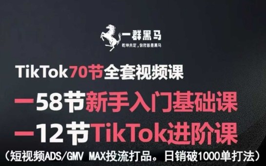 TikTok全套视频课，新手入门+进阶课，短视频ADS-GMV MAX投流打品，日销破1000单打法瀚萌资源网-网赚网-网赚项目网-虚拟资源网-国学资源网-易学资源网-本站有全网最新网赚项目-易学课程资源-中医课程资源的在线下载网站！瀚萌资源网