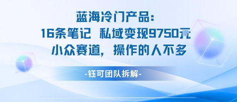 蓝海项目：16条笔记私域变现9750米小众赛道操作的人不多瀚萌资源网-网赚网-网赚项目网-虚拟资源网-国学资源网-易学资源网-本站有全网最新网赚项目-易学课程资源-中医课程资源的在线下载网站！瀚萌资源网