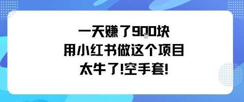 一天挣了9张用小红书做这个项目太牛了，空手套瀚萌资源网-网赚网-网赚项目网-虚拟资源网-国学资源网-易学资源网-本站有全网最新网赚项目-易学课程资源-中医课程资源的在线下载网站！瀚萌资源网