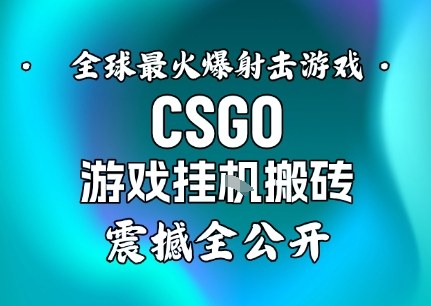 【年底大揭秘】基于全球最火爆的射击CSGO游戏挂G搬砖，日入5张+，震撼公开瀚萌资源网-网赚网-网赚项目网-虚拟资源网-国学资源网-易学资源网-本站有全网最新网赚项目-易学课程资源-中医课程资源的在线下载网站！瀚萌资源网