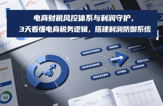 电商财税风控体系与利润守护，3天看懂电商税务逻辑，搭建利润防御系统瀚萌资源网-网赚网-网赚项目网-虚拟资源网-国学资源网-易学资源网-本站有全网最新网赚项目-易学课程资源-中医课程资源的在线下载网站！瀚萌资源网