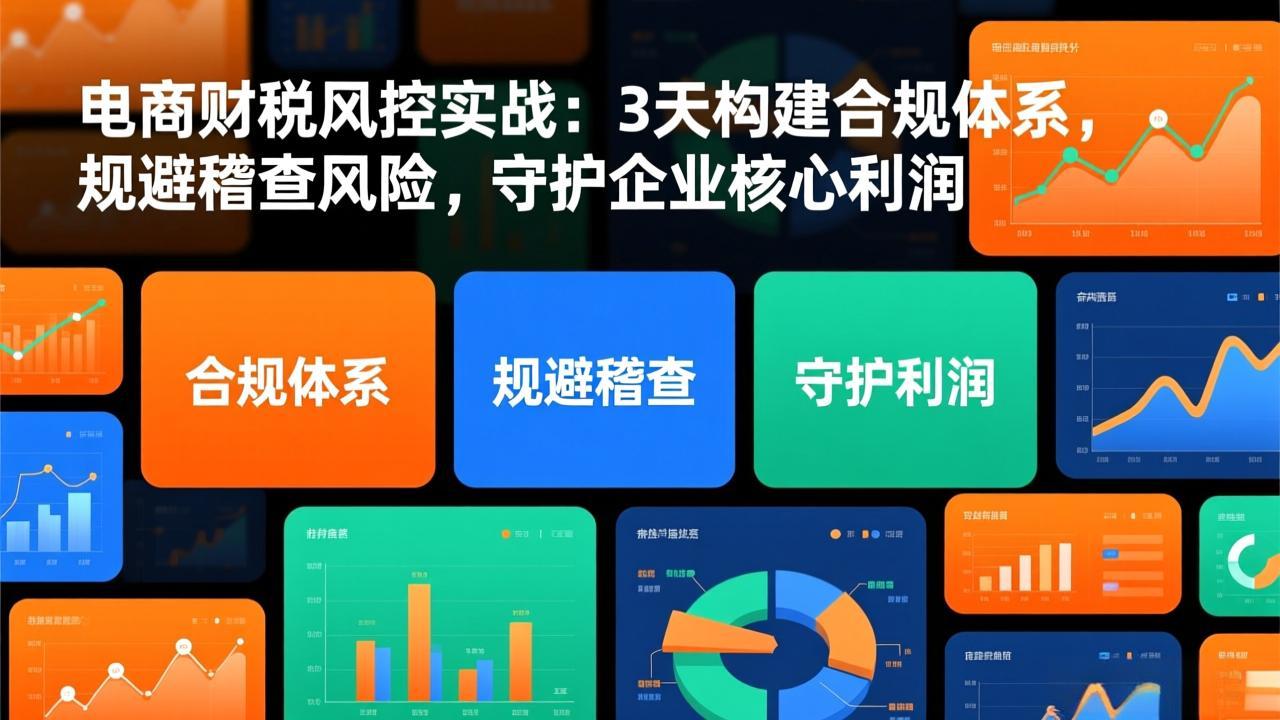 （17197期）电商财税风控实战：3天构建合规体系，规避稽查风险，守护企业核心利润瀚萌资源网-网赚网-网赚项目网-虚拟资源网-国学资源网-易学资源网-本站有全网最新网赚项目-易学课程资源-中医课程资源的在线下载网站！瀚萌资源网