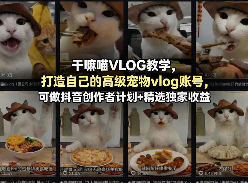 干嘛喵VLOG教学，打造自己的高级宠物vlog账号，可做抖音创作者计划+精选独家收益瀚萌资源网-网赚网-网赚项目网-虚拟资源网-国学资源网-易学资源网-本站有全网最新网赚项目-易学课程资源-中医课程资源的在线下载网站！瀚萌资源网