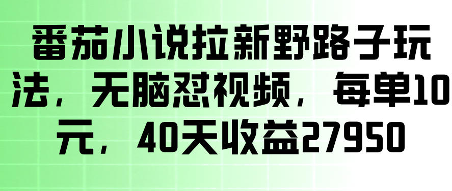 番茄小说拉新野路子玩法，无脑怼视频，玩法简单、见效快，每单10米，40天收益27950瀚萌资源网-网赚网-网赚项目网-虚拟资源网-国学资源网-易学资源网-本站有全网最新网赚项目-易学课程资源-中医课程资源的在线下载网站！瀚萌资源网
