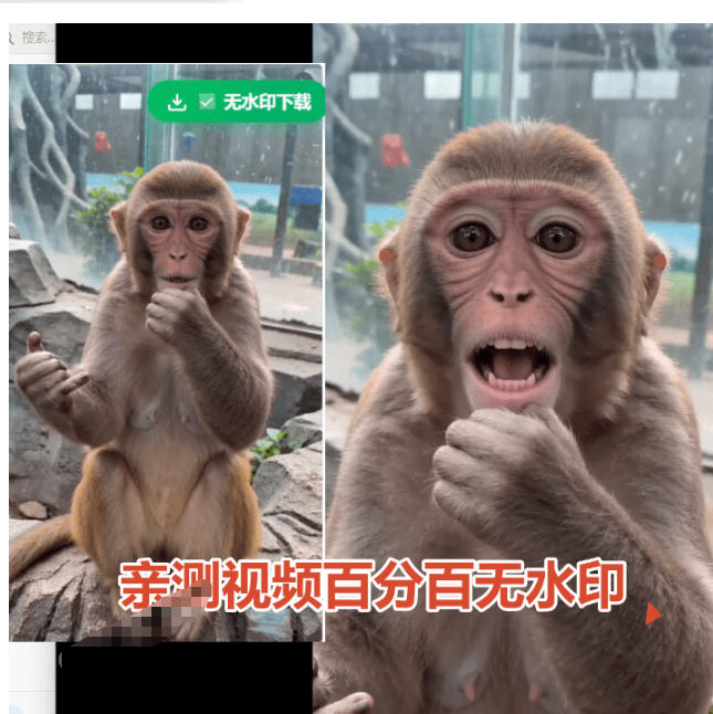 图片[2]瀚萌资源网-网赚网-网赚项目网-虚拟资源网-国学资源网-易学资源网-本站有全网最新网赚项目-易学课程资源-中医课程资源的在线下载网站！豆包无水印下载终于来了！支持豆包图片/视频，目前唯一免费使用的插件，浏览器拓展瀚萌资源网-网赚网-网赚项目网-虚拟资源网-国学资源网-易学资源网-本站有全网最新网赚项目-易学课程资源-中医课程资源的在线下载网站！瀚萌资源网