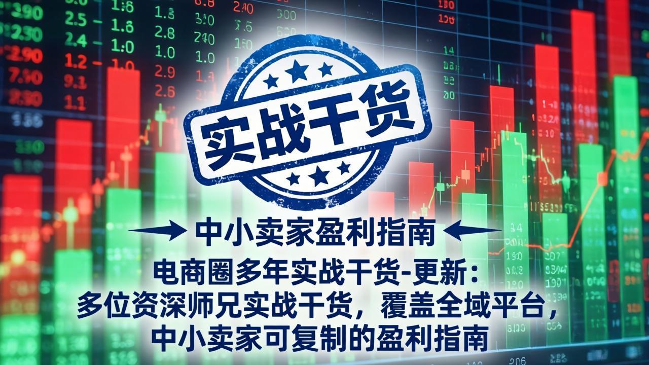 （19761期）电商圈多年实战干货-更新2026：多位资深师兄实战干货/覆盖全域平台，中小卖家可复制的盈利指南瀚萌资源网-网赚网-网赚项目网-虚拟资源网-国学资源网-易学资源网-本站有全网最新网赚项目-易学课程资源-中医课程资源的在线下载网站！瀚萌资源网