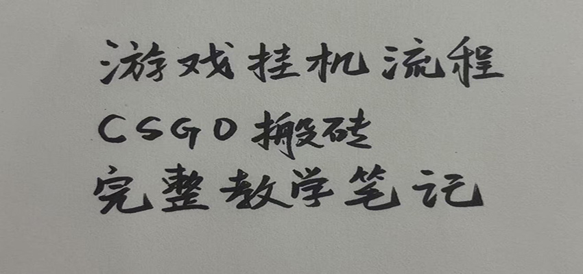 游戏挂机全流程笔记分享，CSGO游戏搬砖，小白看了当天学会见收益瀚萌资源网-网赚网-网赚项目网-虚拟资源网-国学资源网-易学资源网-本站有全网最新网赚项目-易学课程资源-中医课程资源的在线下载网站！瀚萌资源网