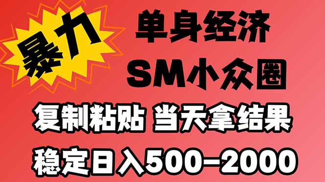 （21205期）26年 最新小众情感赛道，手机操作，十分钟见收益，小白也能当天上手，全程复制粘贴模板即可，稳定日入1k+瀚萌资源网-网赚网-网赚项目网-虚拟资源网-国学资源网-易学资源网-本站有全网最新网赚项目-易学课程资源-中医课程资源的在线下载网站！瀚萌资源网